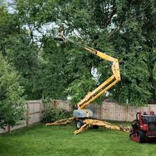 Best Firewood Processing and Delivery  in Prairie Ridge, WA