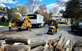 Best Tree Mulching  in Prairie Ridge, WA