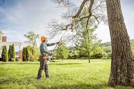Best Commercial Tree Services  in Prairie Ridge, WA
